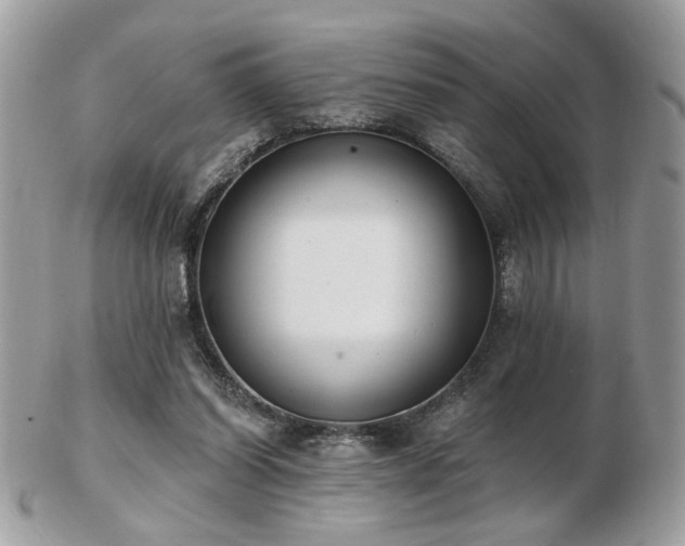 X0000103260254200808291224