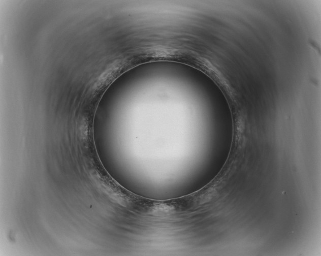 X0000103260257200808291224