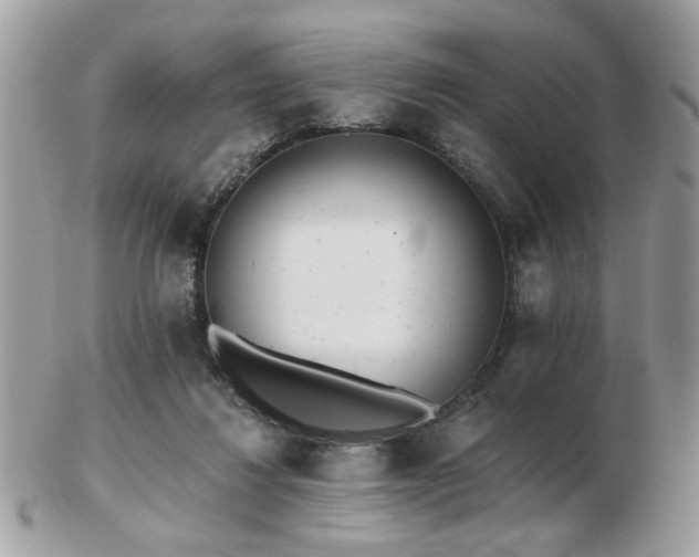 X0000103260260200808291224