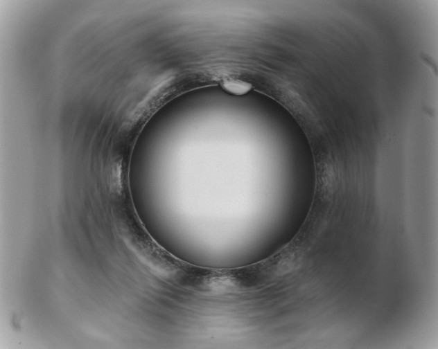 X0000103260262200808291224