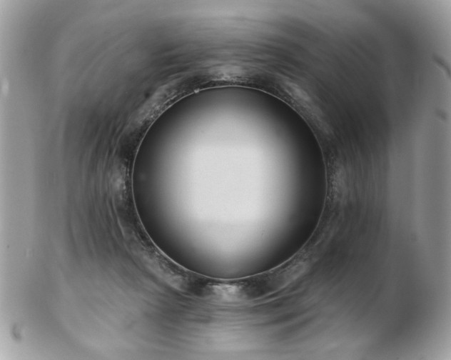 X0000103260265200808291224