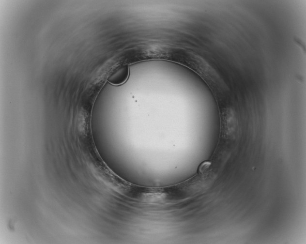 X0000103260266200808291224