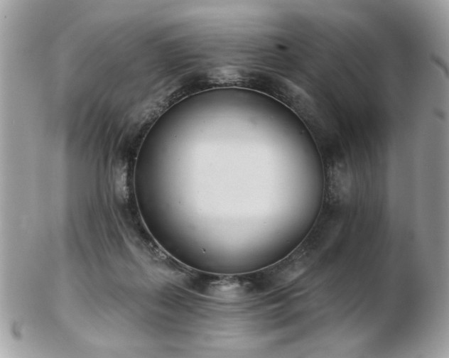 X0000103260267200808291224