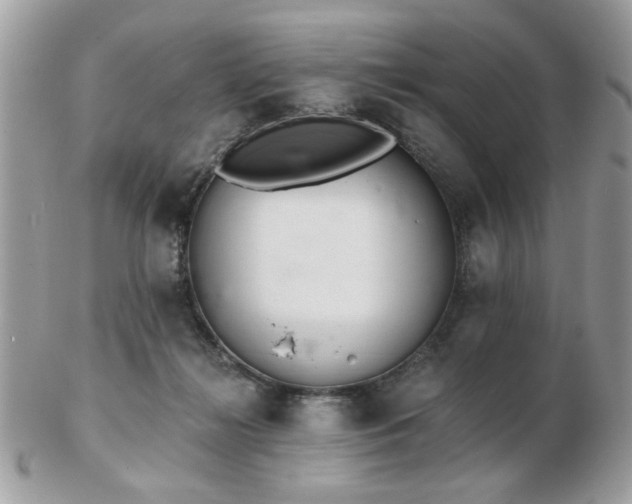 X0000103260268200808291224