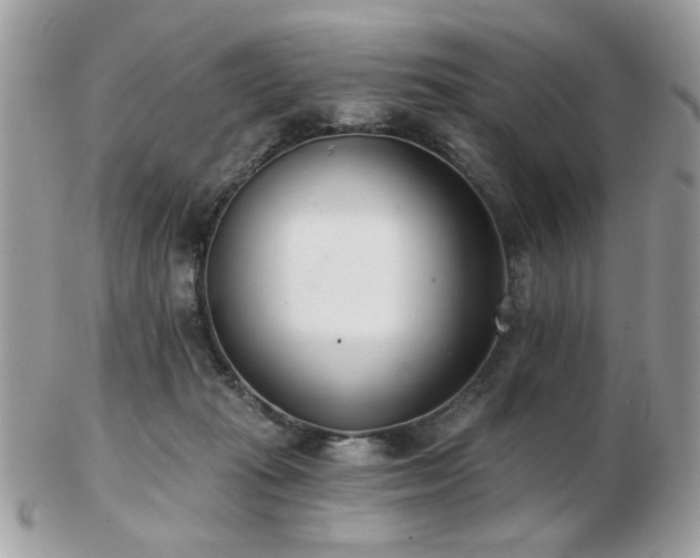 X0000103260269200808291224