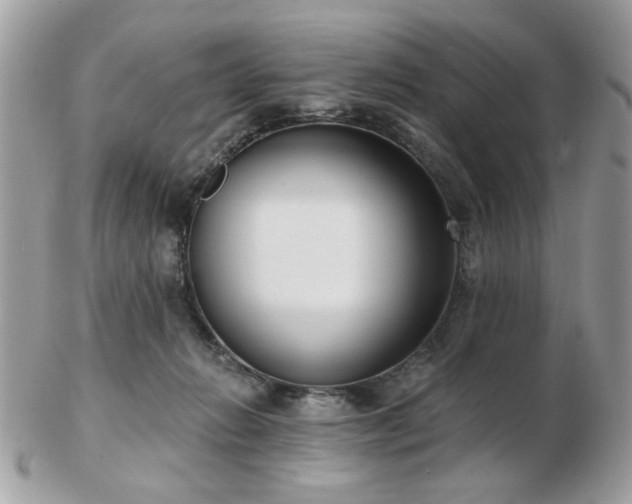 X0000103260270200808291224