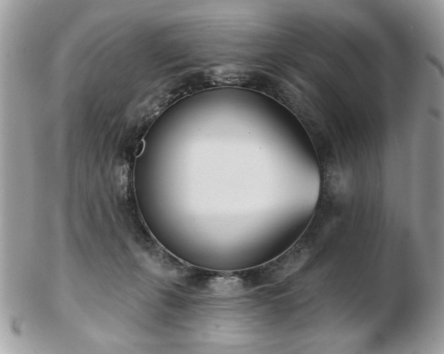 X0000103260271200808291224