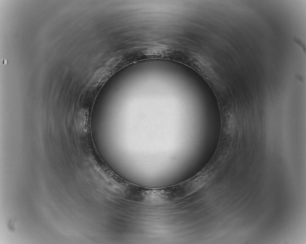 X0000103260273200808291224