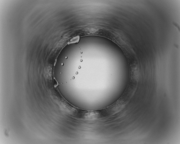 X0000103260274200808291224