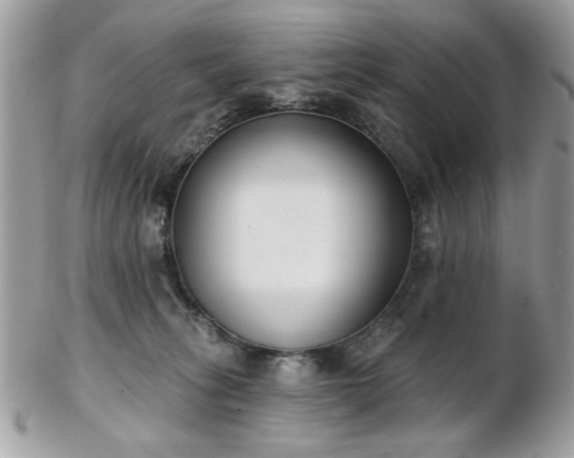 X0000103260275200808291224