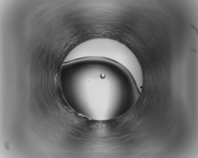 X0000103260276200808291224