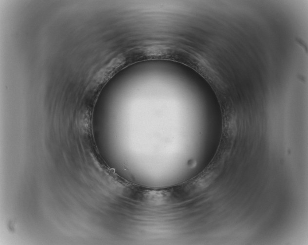 X0000103260277200808291224