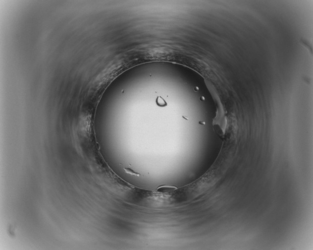 X0000103260278200808291225