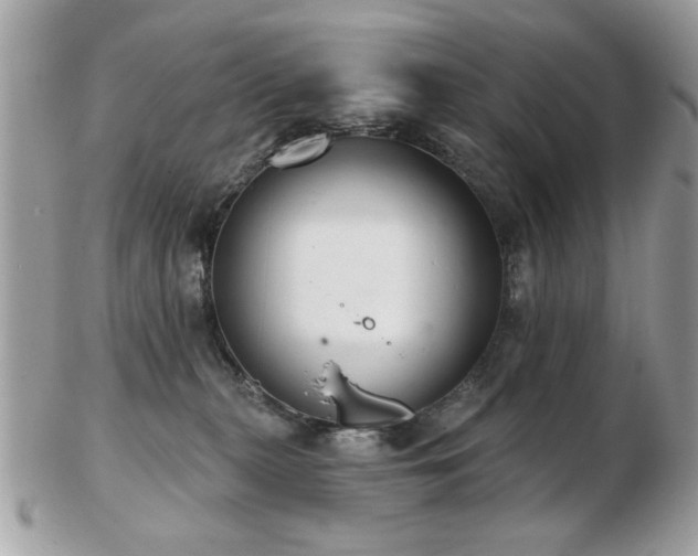 X0000103260279200808291225