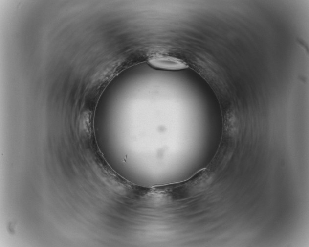 X0000103260280200808291225