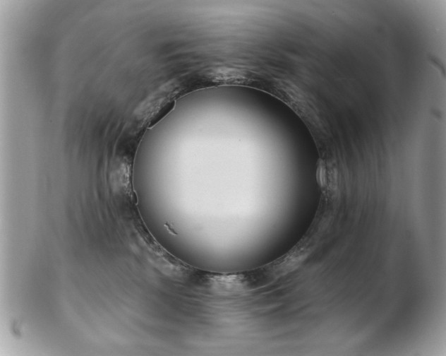 X0000103260281200808291225