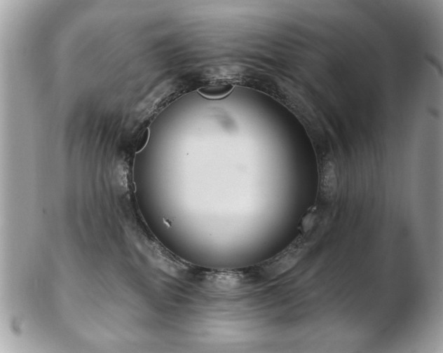 X0000103260282200808291225