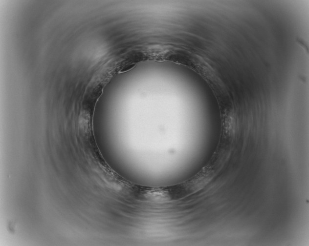 X0000103260283200808291225