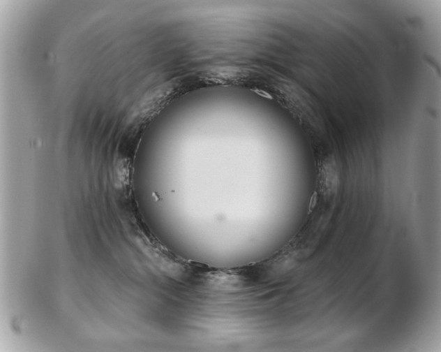 X0000103260284200808291225