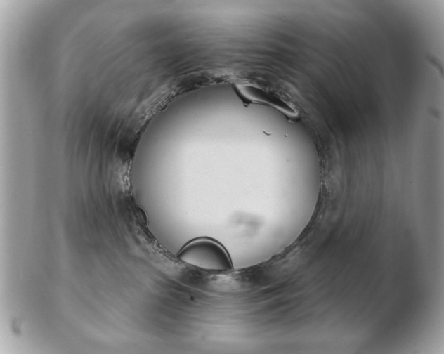 X0000103260285200808291225