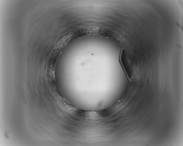 X0000103260287200808291225