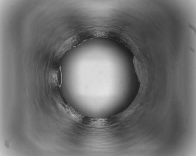 X0000103260288200808291225