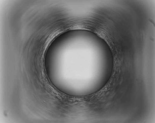 X0000103260289200808291224