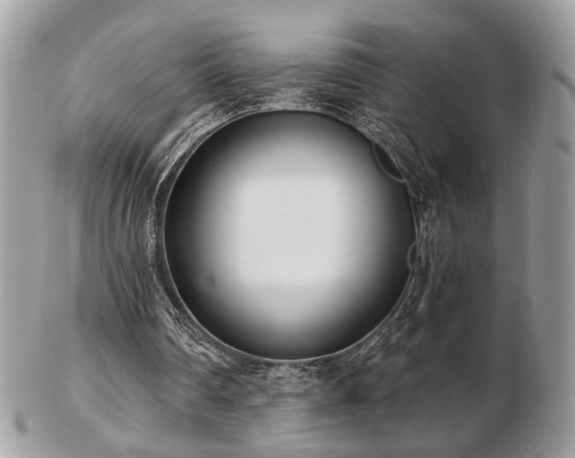 X0000103260290200808291224