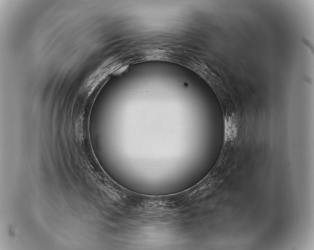 X0000103260291200808291224