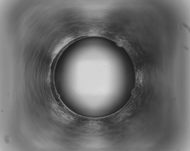 X0000103260292200808291224