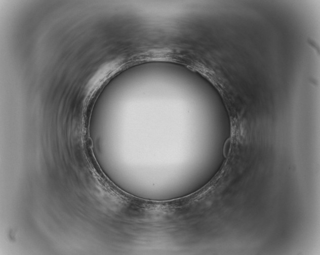 X0000103260293200808291224