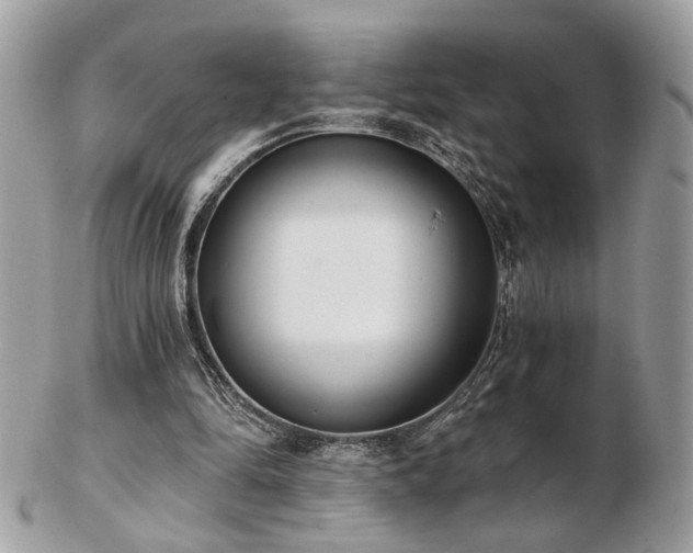 X0000103260294200808291224