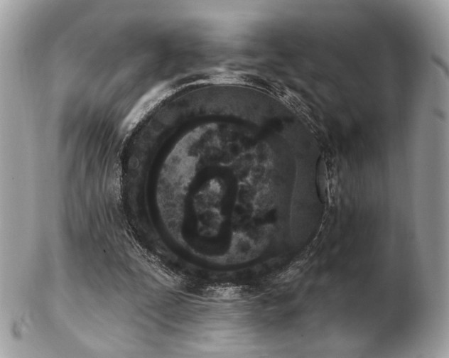 X0000103260295200808291224