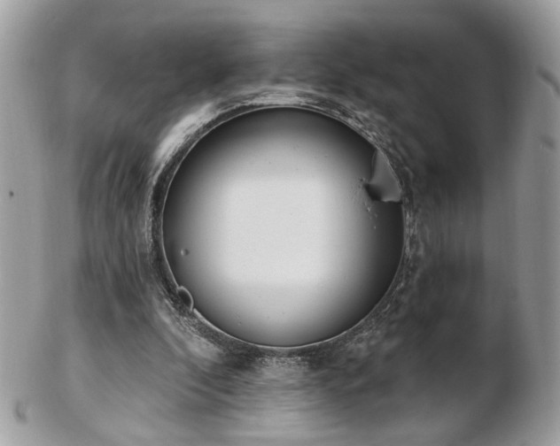 X0000103260296200808291224