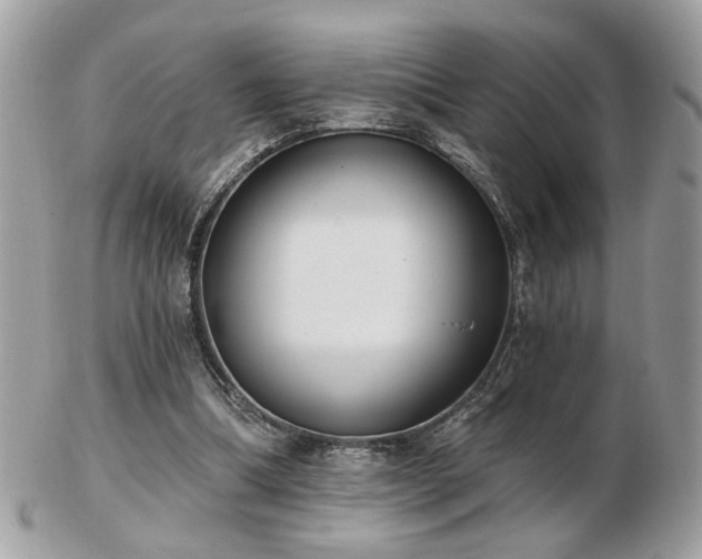 X0000103260298200808291224