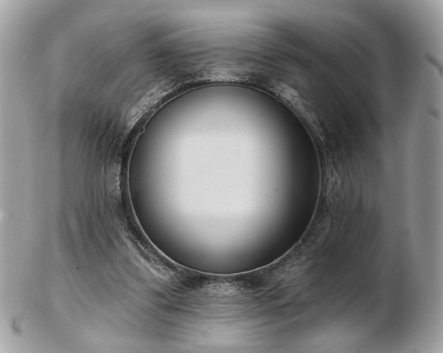 X0000103260299200808291224