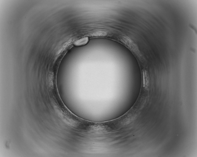 X0000103260300200808291224