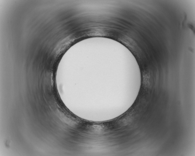 X0000103260302200808291224