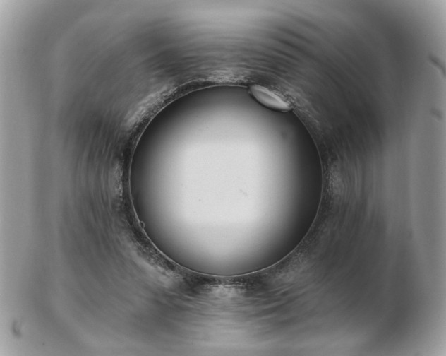 X0000103260303200808291224