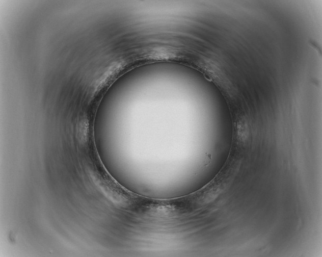 X0000103260304200808291224