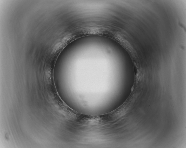 X0000103260306200808291224