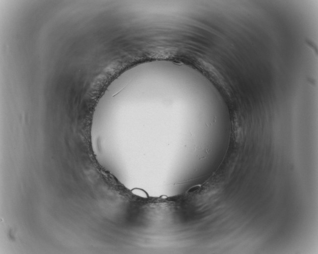 X0000103260307200808291224