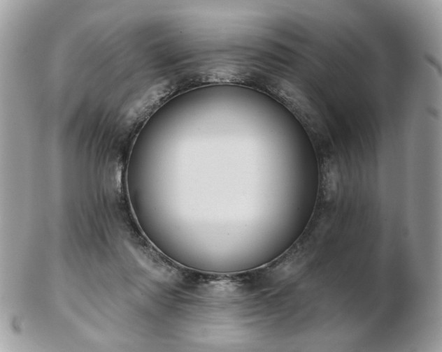 X0000103260310200808291224