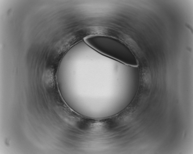 X0000103260312200808291223