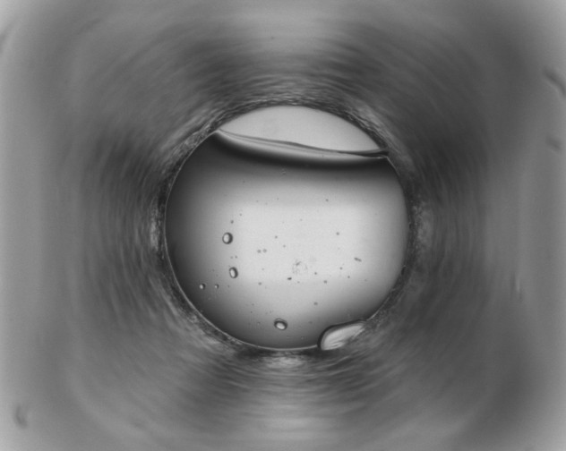 X0000103260313200808291223