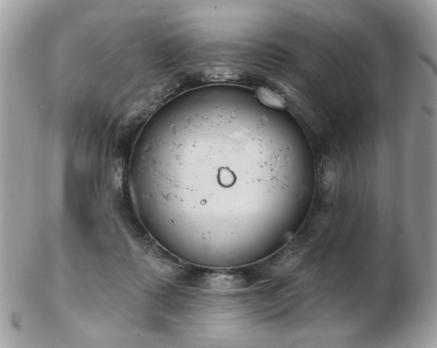 X0000103260315200808291223