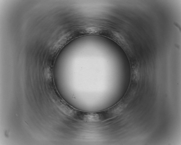 X0000103260317200808291223