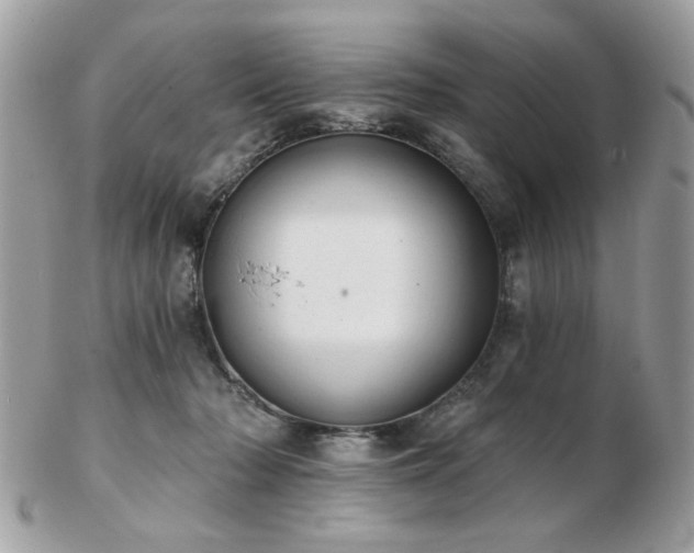 X0000103260318200808291223