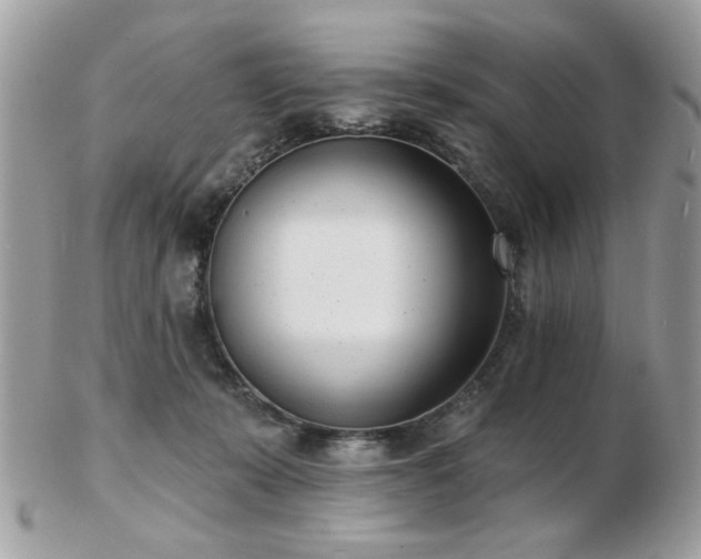 X0000103260319200808291223