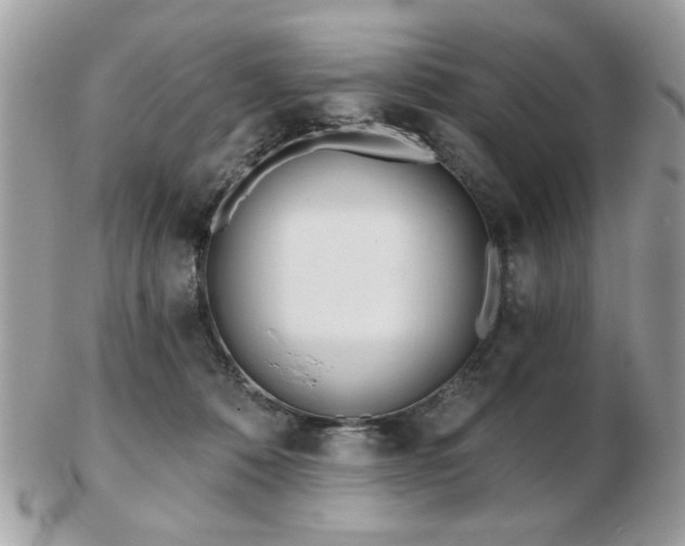 X0000103260320200808291223